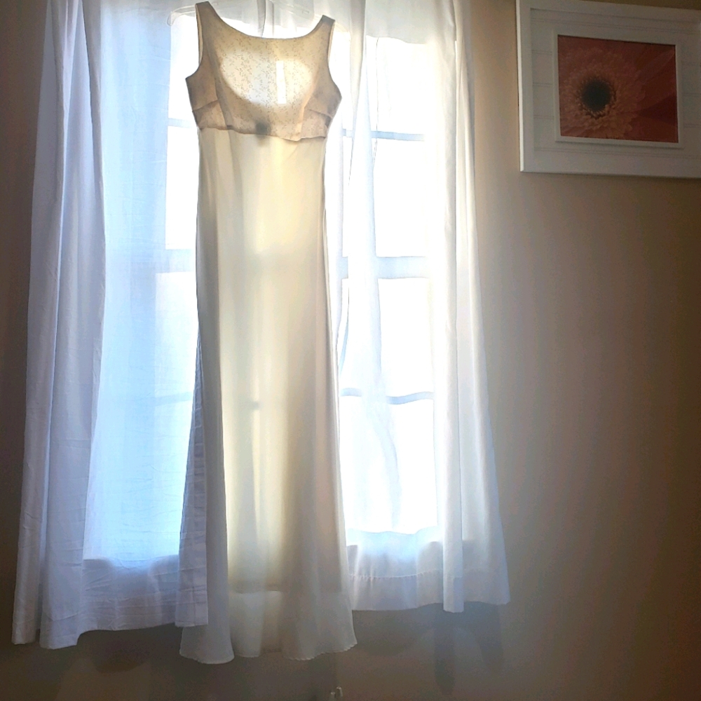 Stunning Barbara Moss formal gown